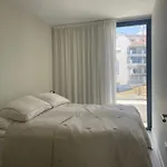 Casa Zorro - Experience Luxury